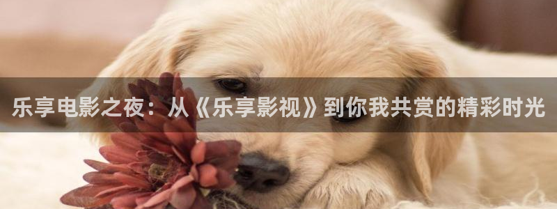 九七電影院免費觀看