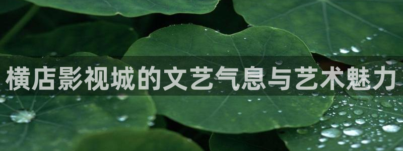 九七電影網(wǎng)理論片