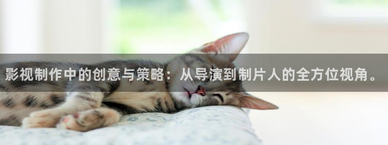 九七手機電影網：影視制作中的創意與策略：從導演到制片人的全方位視角。
